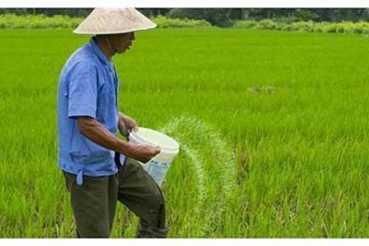 雅拉至尊水溶肥最简单三个步骤