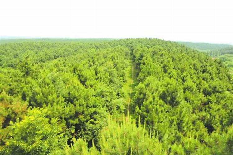 水溶肥十大名牌