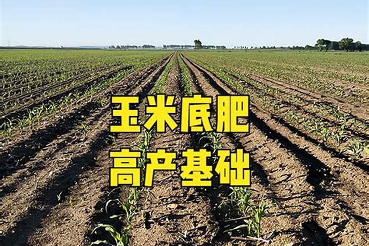 家庭天然硼肥有哪些