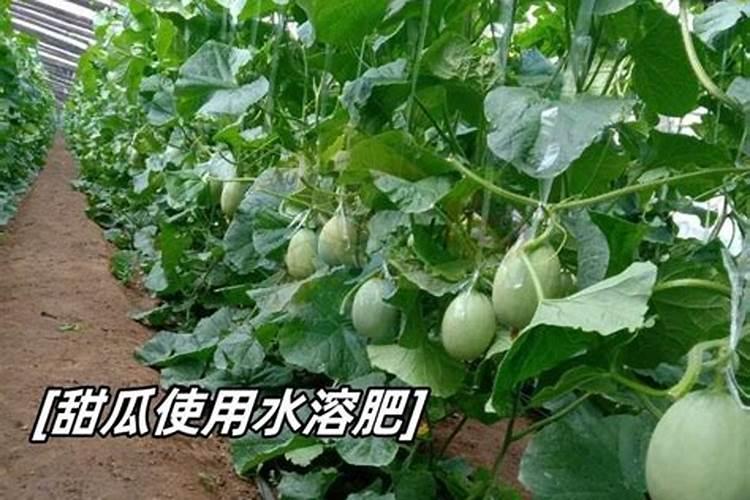 什么是大量元素水溶肥？