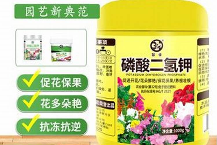 高温芝麻花期可以喷磷酸二氢钾吗