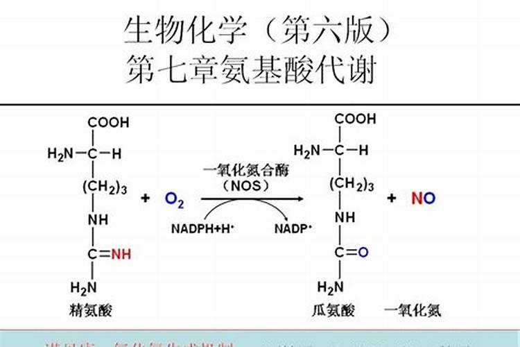硝酸可以制氮肥吗