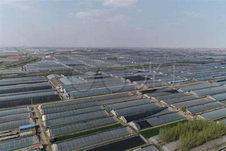 全营养水溶肥微生物菌剂有哪些