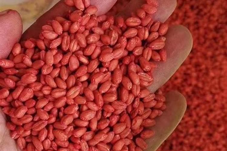 小麦灌浆期,还需要补充硼肥吗？这个叶面肥,适合后期使用