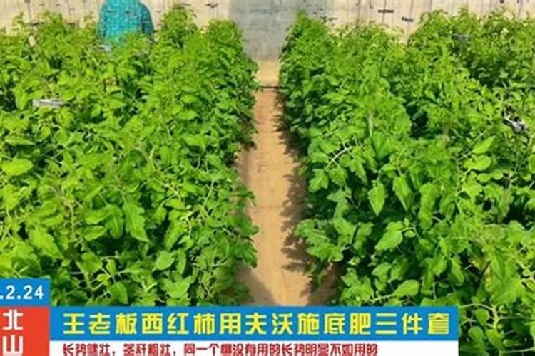 水溶肥做底肥用量