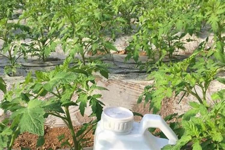 金正大的水溶肥使用可以吗？