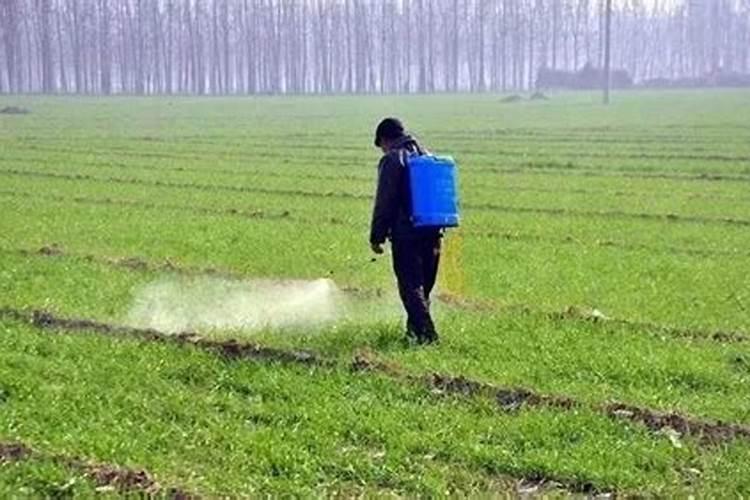 增加土壤肥力的方法有哪些