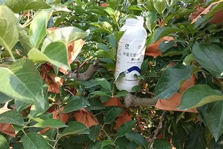 全自动粉剂水溶肥生产设备中投料预混系统的相关介绍