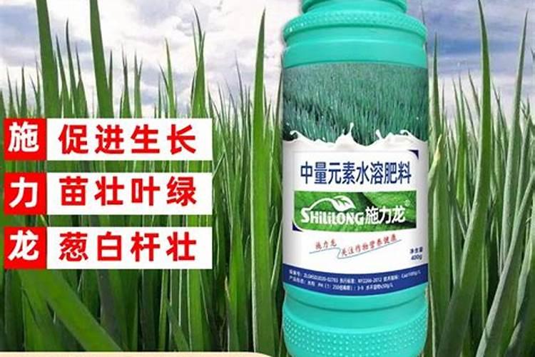 小葱用什么肥料最好