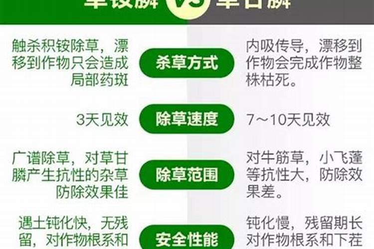 脐橙树打精草铵膦后几天可以浇水肥