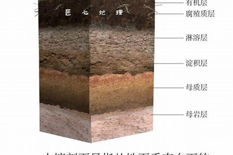怎么辨别土壤是酸性还是碱性 怎么辨别酸碱性土壤