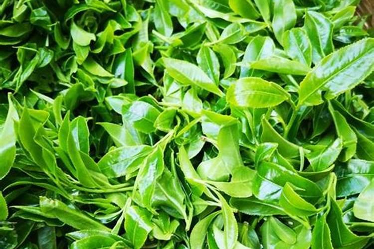 辨论 解决问题应该独立思考