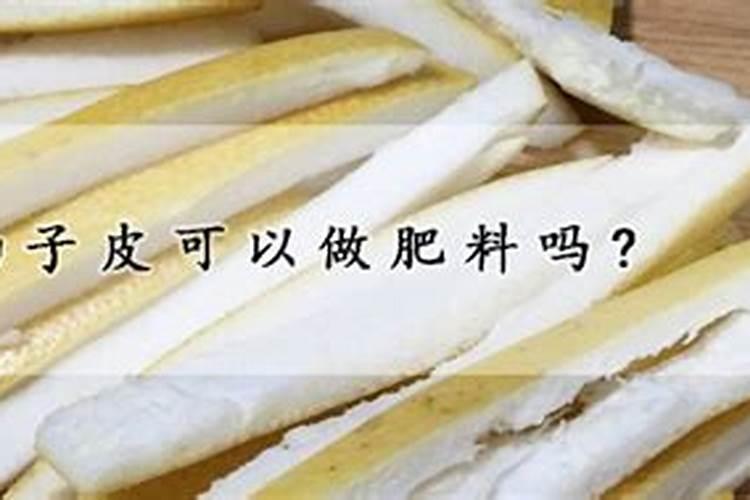 柚子皮是可以拿来做有机肥灌溉植物的,具体怎么做呢？