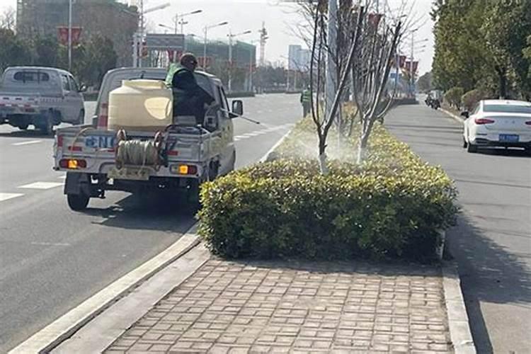 苹果树打药页面肥先放还是后放