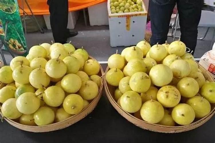 百香果想要丰产施肥管理技术很重要,百香果施肥技术要点有哪些？