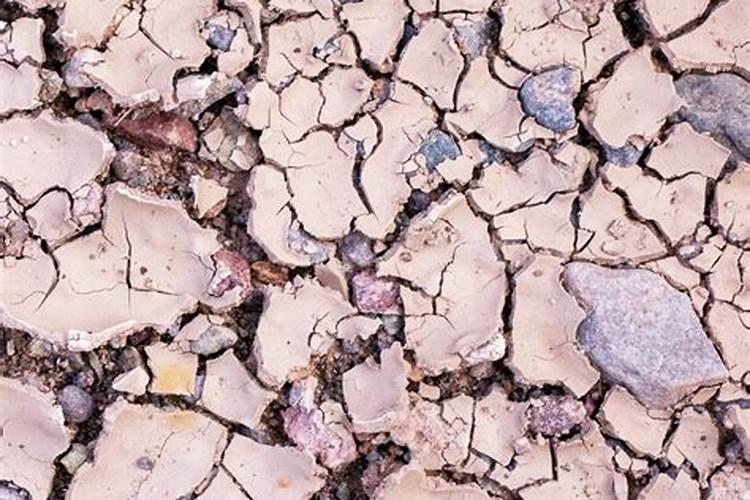 苹果水裂纹怎么回事