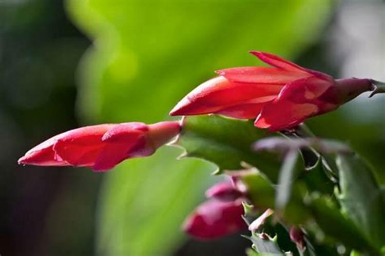 化肥正常情况下的保质期是多久时长