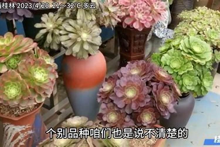 氨基酸螯合钙水溶肥可以用于西瓜+黄瓜吗？