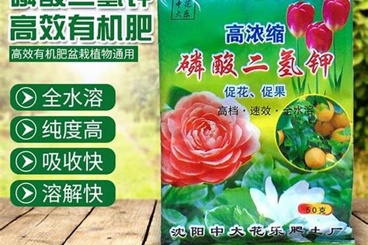 煮红小豆赤小豆的技巧 会比较容易煮烂