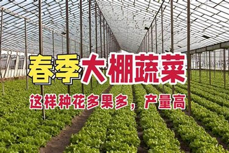 花多多新版11号含钙吗