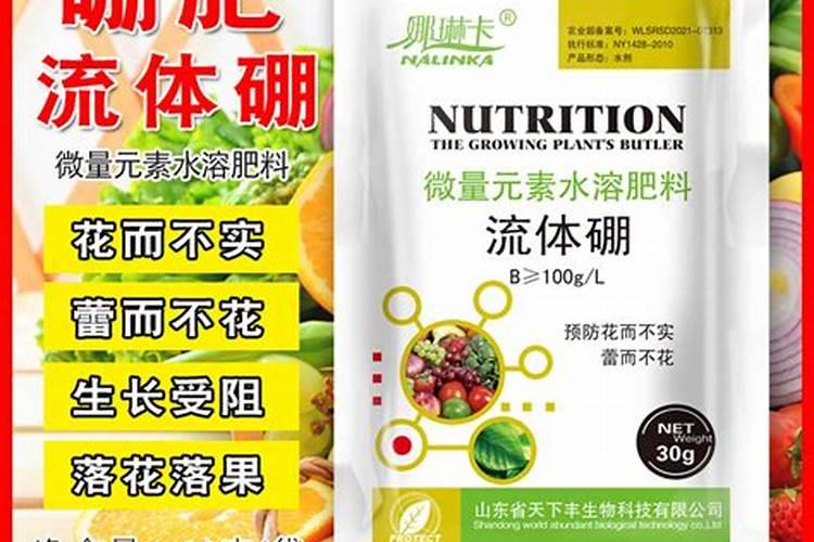 小麦拔节期后喷什么叶面肥？硼肥加上它喷2次,增产很明显