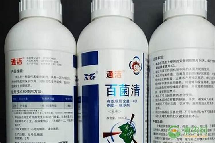 西红柿酱油果怎么治