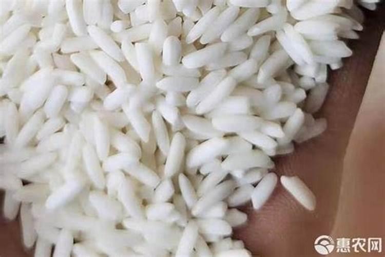 糯米,的种植需要什么条件？在邢台是否可以种植啊？？？