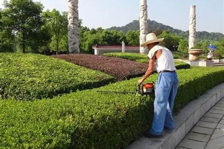 4月份园林绿化养护要点