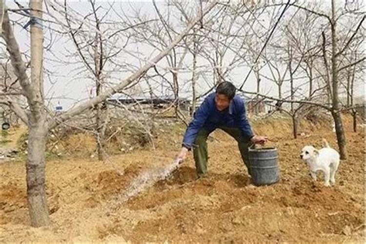 如何提高氮肥磷肥钾肥的利用率 提高氮肥磷肥钾肥的利用率方法百度知 ...