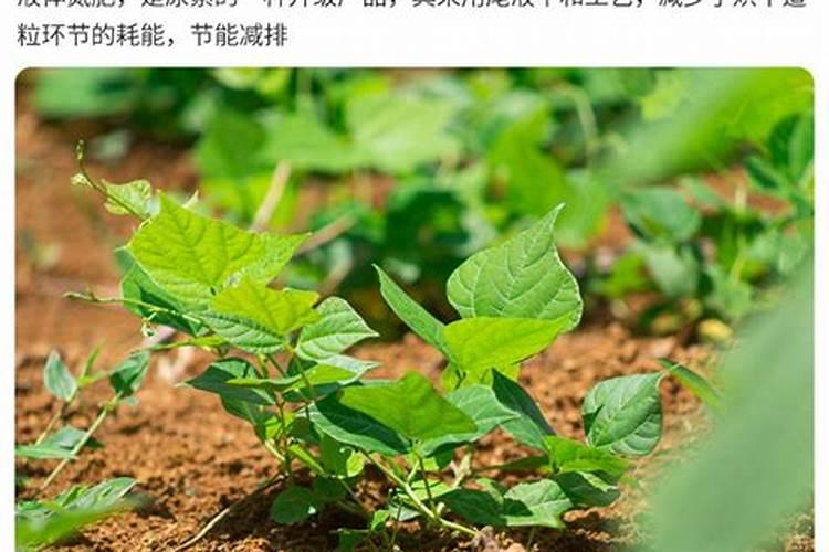 液体氮肥哪个厂家好