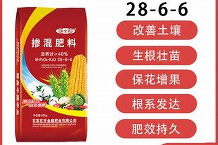 玉米一次性施肥氮磷钾怎么配合