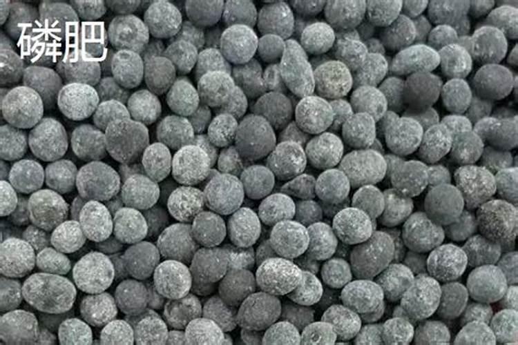 什么肥料施加给果树后能让果子长得又大又甜？