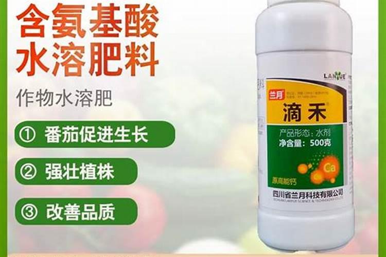 天脊16620硝酸钾水溶肥的批发价格是多少？