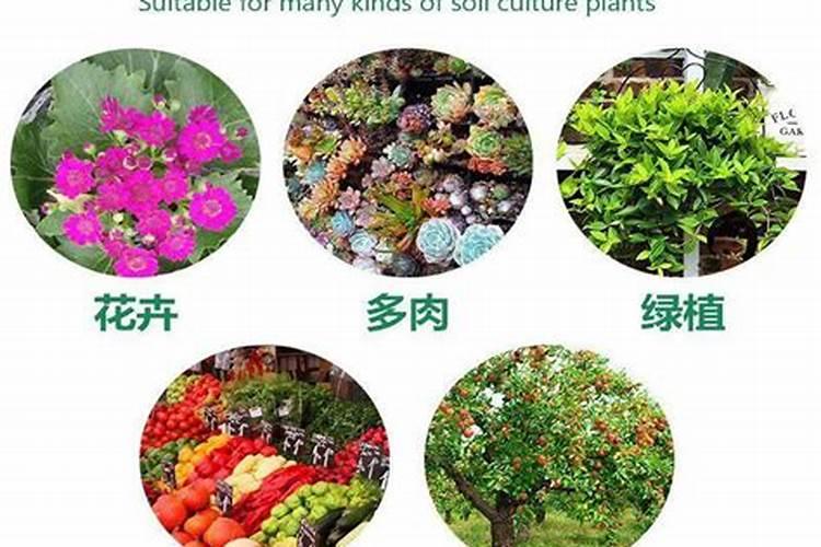 种菜最好的肥料第一名