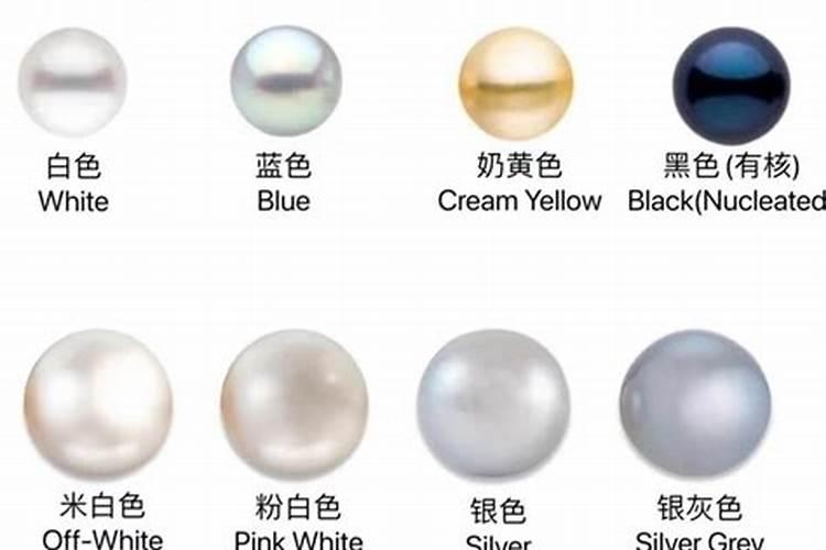 水溶肥含什么成分