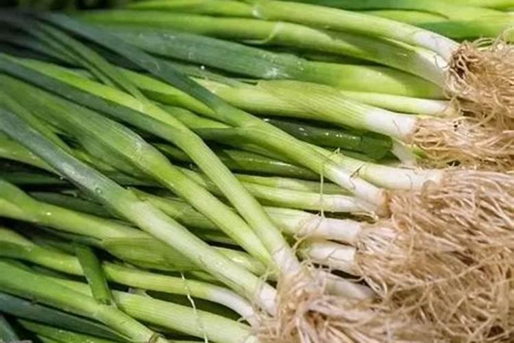 大葱用哪种水溶肥长势好？大葱专用增产叶面肥料？