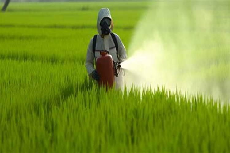 用多菌灵多久可以用肥料