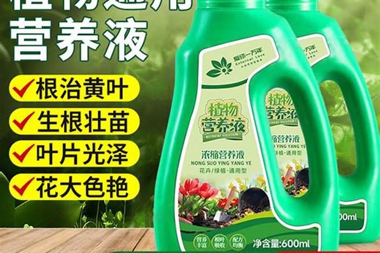 营养液和肥料哪个好