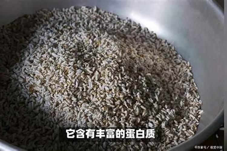 菜籽饼打窝钓什么鱼效果最好
