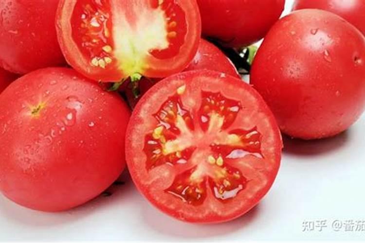 糖醇钙喷后西红柿多久采摘