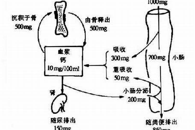 糖醇钙给葡萄上肥是什么作用