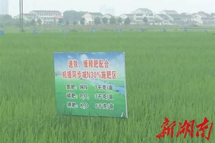 种小麦肥料每一亩是多少