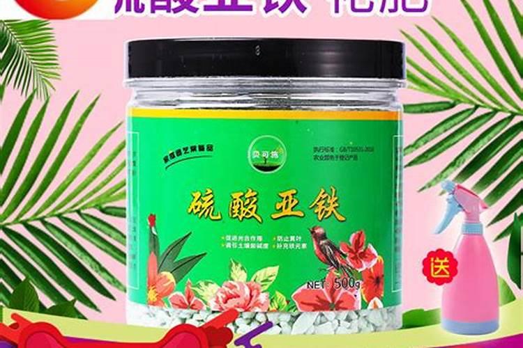 水溶肥如何给多肉施肥？