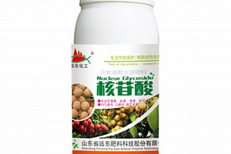 忍冬叶与金银花有区别吗？