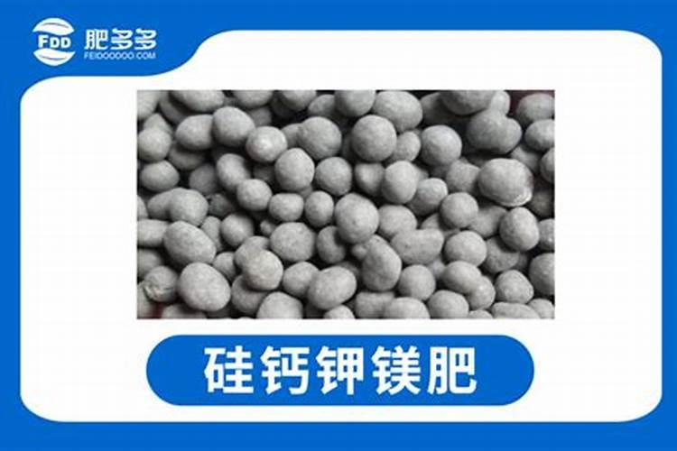 苹果套袋后用啥肥