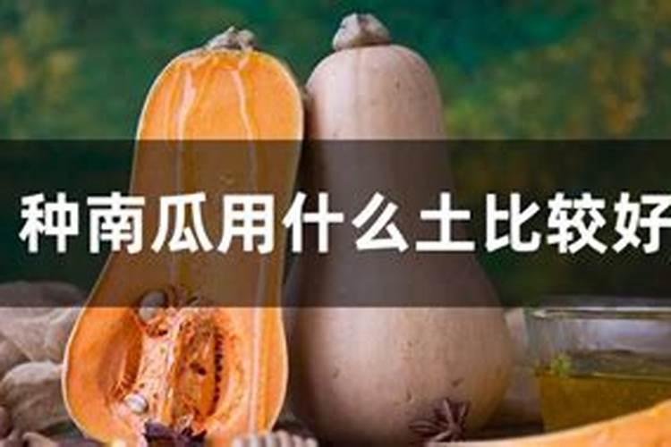 南瓜需要施什么肥