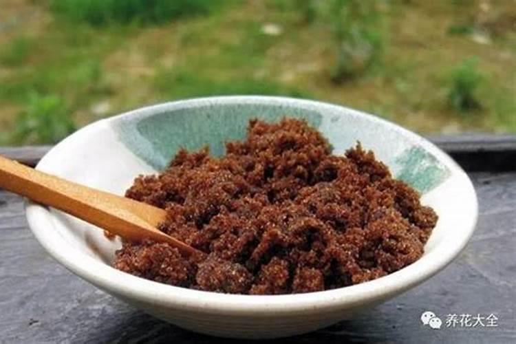 红糖水可以浇哪些蔬菜