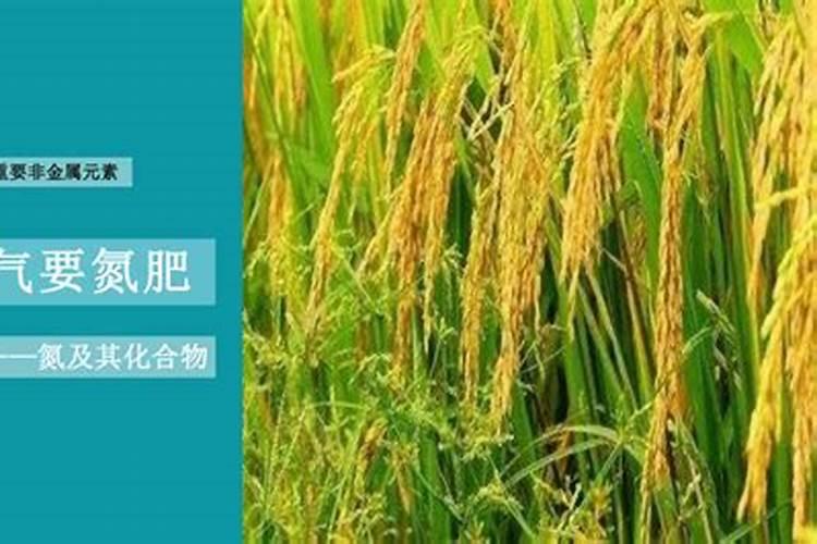 指天椒多久浇一次水