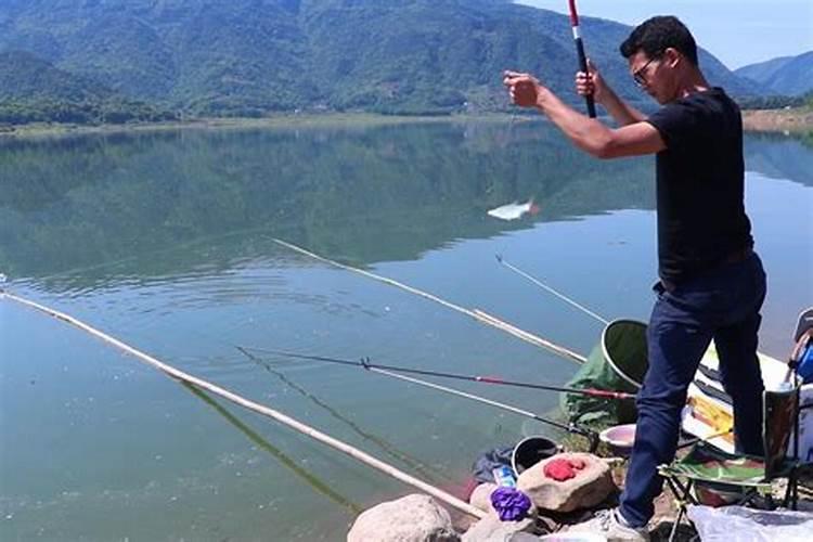 ...的水库,用什么钓饵钓鱼比较好？用什么做打窝饵？