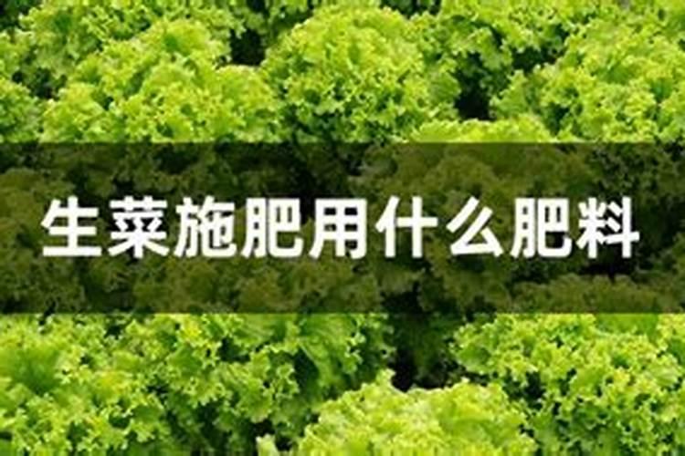 榆树盆景施什么肥